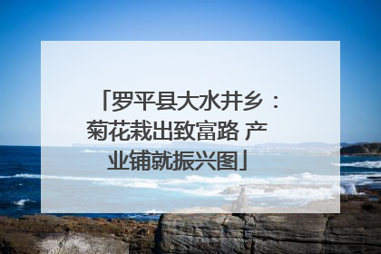 罗平县大水井乡：菊花栽出致富路 产业铺就振兴图