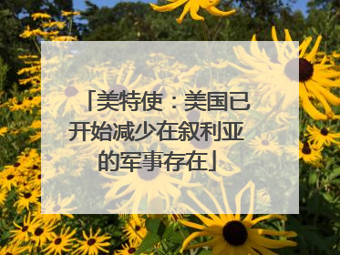美特使：美国已开始减少在叙利亚的军事存在