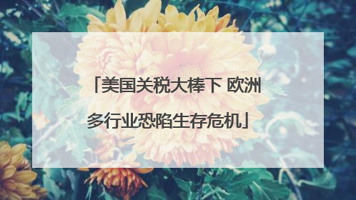 美国关税大棒下 欧洲多行业恐陷生存危机