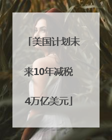 美国计划未来10年减税4万亿美元