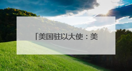 美国驻以大使：美国不再“全力”支持巴勒斯坦建国