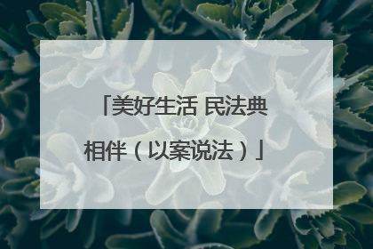 美好生活 民法典相伴（以案说法）