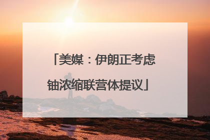 美媒：伊朗正考虑铀浓缩联营体提议