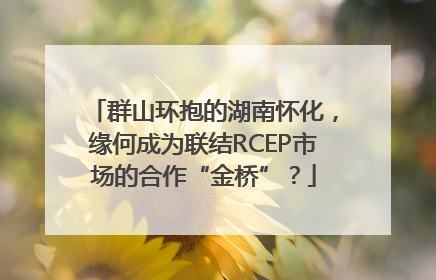 群山环抱的湖南怀化，缘何成为联结RCEP市场的合作“金桥”？