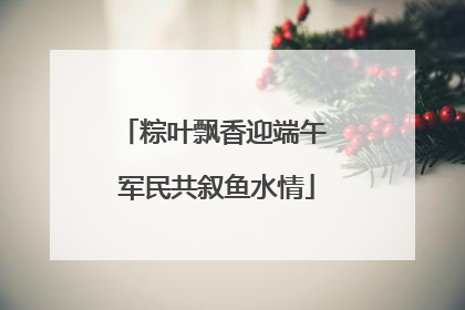 粽叶飘香迎端午 军民共叙鱼水情