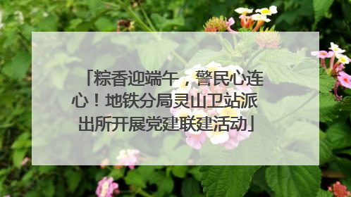 粽香迎端午，警民心连心！地铁分局灵山卫站派出所开展党建联建活动