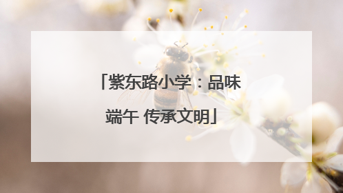 紫东路小学：品味端午 传承文明