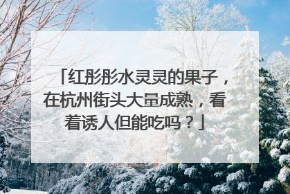 红彤彤水灵灵的果子，在杭州街头大量成熟，看着诱人但能吃吗？