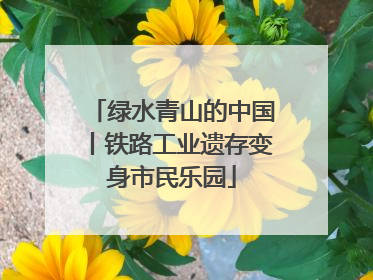 绿水青山的中国丨铁路工业遗存变身市民乐园