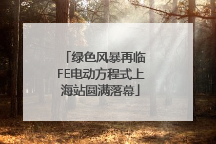 绿色风暴再临 FE电动方程式上海站圆满落幕