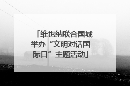 维也纳联合国城举办“文明对话国际日”主题活动