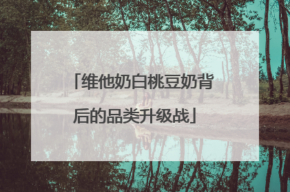 维他奶白桃豆奶背后的品类升级战
