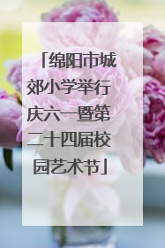 绵阳市城郊小学举行庆六一暨第二十四届校园艺术节