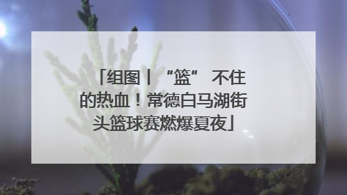 组图丨“篮” 不住的热血！常德白马湖街头篮球赛燃爆夏夜