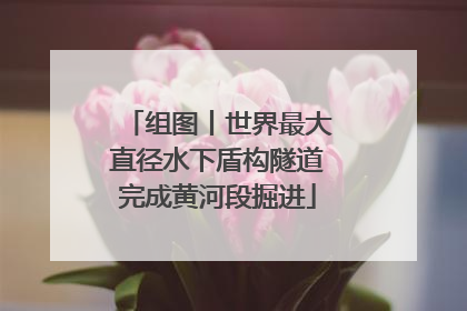 组图丨世界最大直径水下盾构隧道完成黄河段掘进