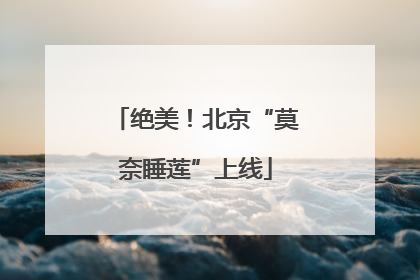 绝美！北京“莫奈睡莲”上线