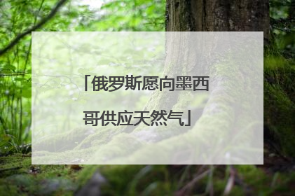 俄罗斯愿向墨西哥供应天然气