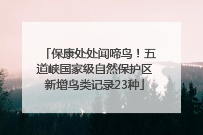 保康处处闻啼鸟！五道峡国家级自然保护区新增鸟类记录23种
