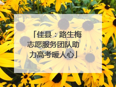 佳县：路生梅志愿服务团队助力高考暖人心