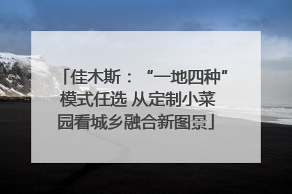 佳木斯：“一地四种” 模式任选 从定制小菜园看城乡融合新图景