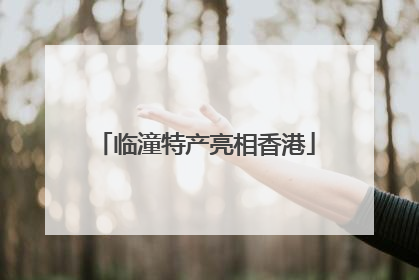 临潼特产亮相香港