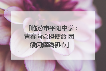 临汾市平阳中学：青春向党担使命 团徽闪耀践初心