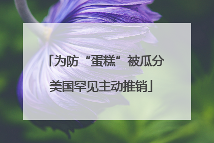 为防“蛋糕”被瓜分 美国罕见主动推销