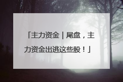 主力资金｜尾盘，主力资金出逃这些股！
