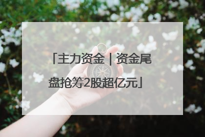 主力资金｜资金尾盘抢筹2股超亿元