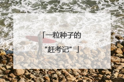 一粒种子的“赶考记”