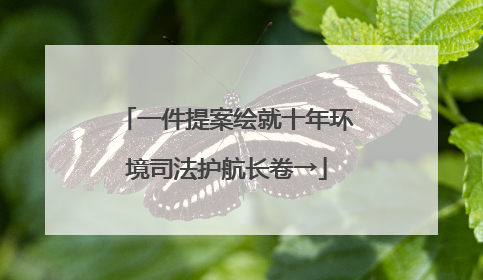 一件提案绘就十年环境司法护航长卷→