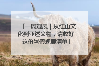 一周观展｜从红山文化到亚述文物，请收好这份暑假观展清单