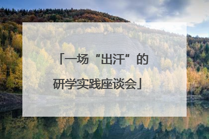一场“出汗”的研学实践座谈会