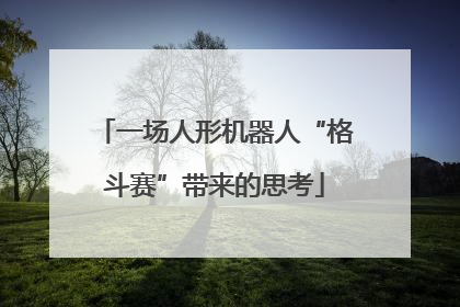 一场人形机器人“格斗赛”带来的思考