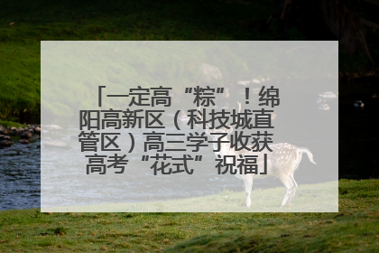 一定高“粽”！绵阳高新区（科技城直管区）高三学子收获高考“花式”祝福