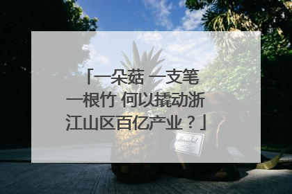 一朵菇 一支笔 一根竹 何以撬动浙江山区百亿产业？
