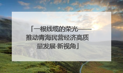 一根线缆的荣光——推动青海民营经济高质量发展·新视角