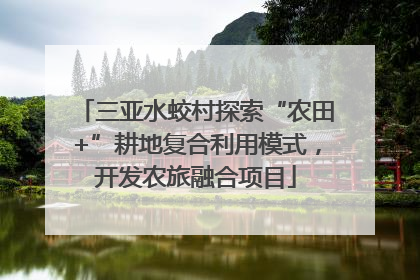 三亚水蛟村探索“农田+”耕地复合利用模式，开发农旅融合项目