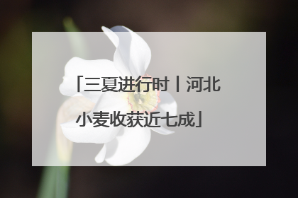三夏进行时丨河北小麦收获近七成