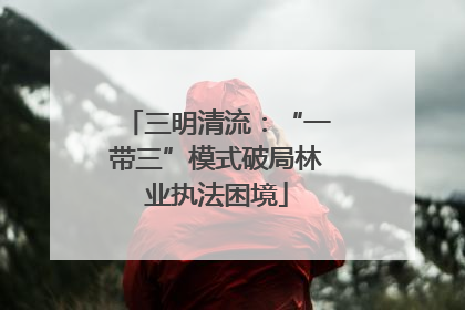 三明清流：“一带三”模式破局林业执法困境