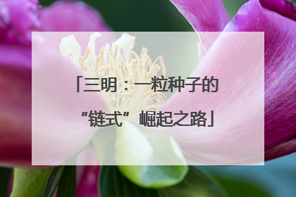 三明：一粒种子的“链式”崛起之路