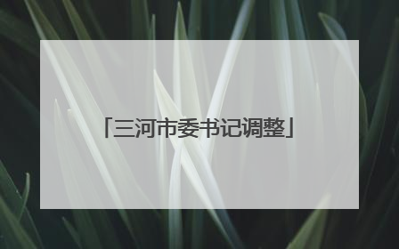 三河市委书记调整