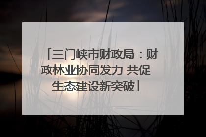 三门峡市财政局：财政林业协同发力 共促生态建设新突破