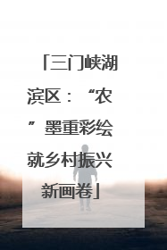三门峡湖滨区：“农”墨重彩绘就乡村振兴新画卷