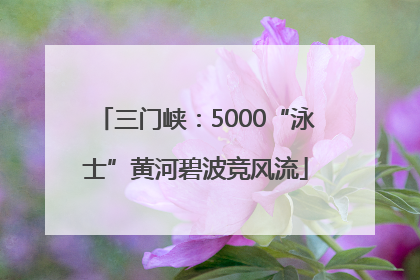 三门峡：5000“泳士”黄河碧波竞风流