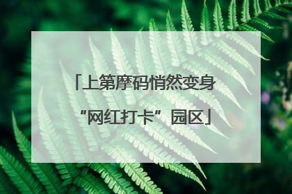 上第摩码悄然变身“网红打卡”园区