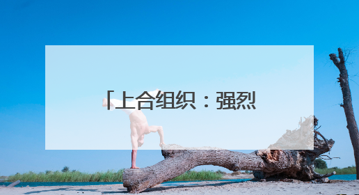 上合组织：强烈谴责以色列对伊朗发动的军事打击