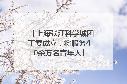 上海张江科学城团工委成立，将服务40余万名青年人