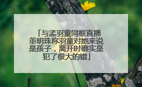 与孟羽童同框直播 董明珠称羽童对她来说是孩子，离开时确实是犯了很大的错