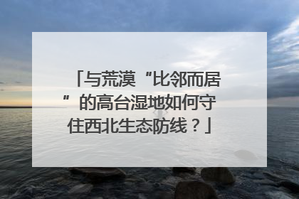 与荒漠“比邻而居”的高台湿地如何守住西北生态防线？